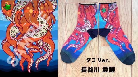 [Dokkoiソックス(長谷川登鯉 タコVer.)]